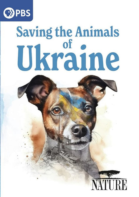 Nature Saving The Animals Of Ukraine (Tom Park) New DVD Presale