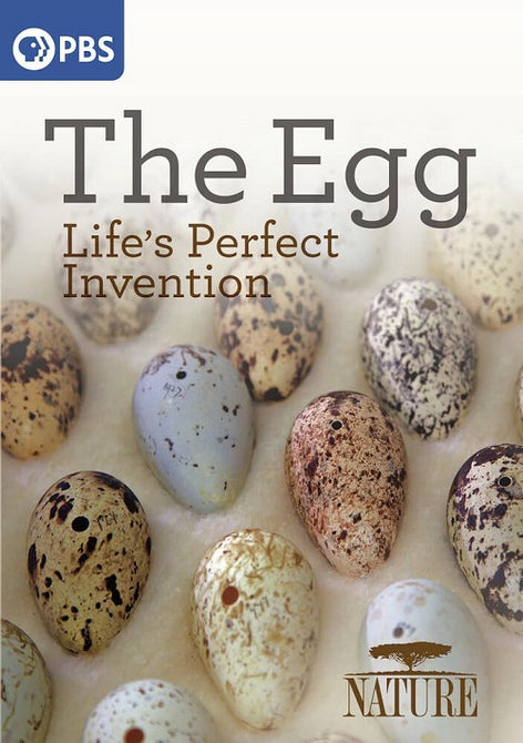 Nature The Egg Lifes Perfect Invention New DVD Presale