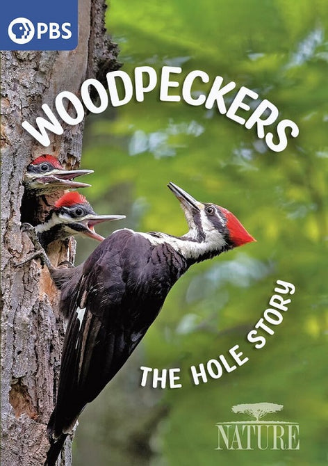 Nature Woodpeckers The Hole Story New DVD Presale