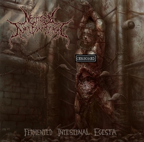 Necrotic Infibulation Fermented Intestinal Egesta New CD