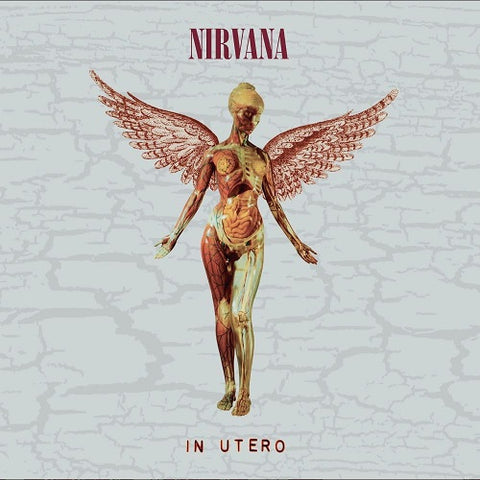 NIRVANA In Utero 30th Anniversary Deluxe Edtition New CD