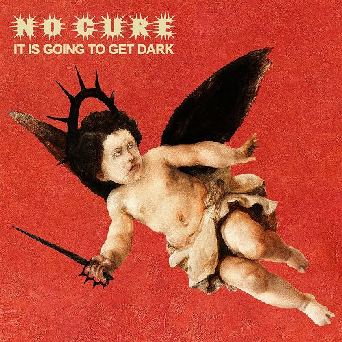 No Cure It Is Going to Get Dark New CD Presale