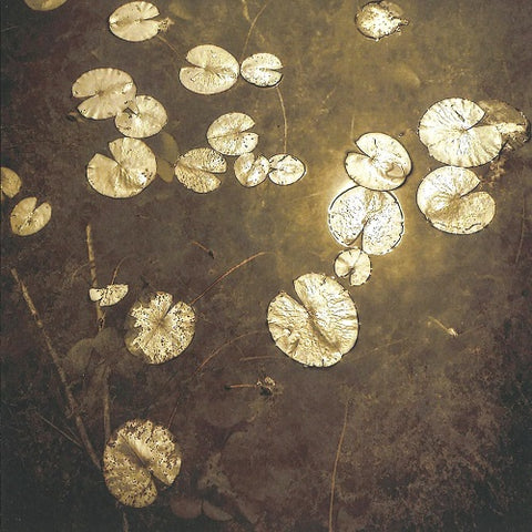 Northwoods Improvisers Fanfares New CD
