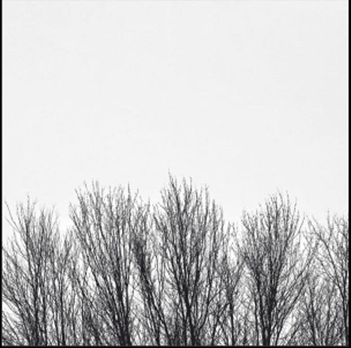 Northwoods Improvisers White Sky New CD Presale