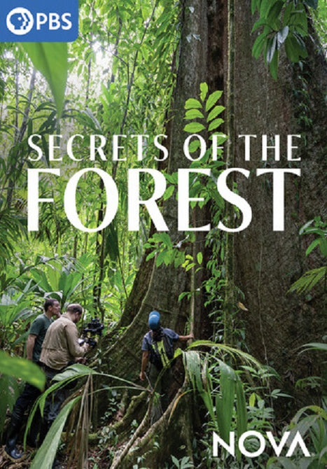 NOVA Secrets Of The Forest New DVD Presale