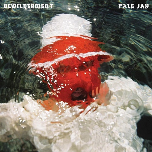 Pale Jay Bewilderment New CD