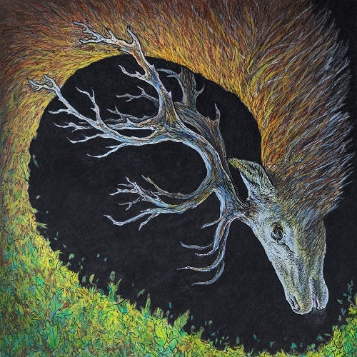 Petrels Infangthief New CD Presale
