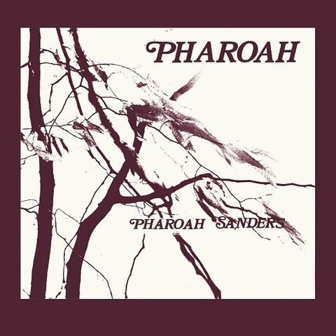 Pharoah Sanders 2 Disc New CD Box Set