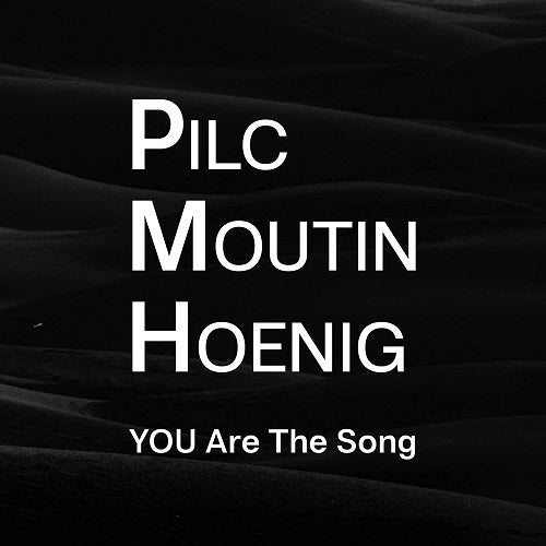 Pilc Moutin Hoenig You Are The Song New CD