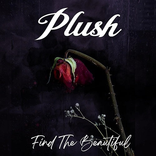 Plush Find The Beautiful New CD