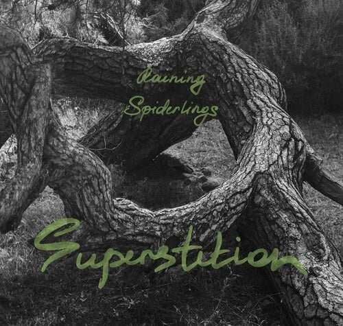 Raining Spiderlings Superstition New CD