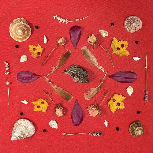 Secret Family Grouse Head Talisman New CD Presale