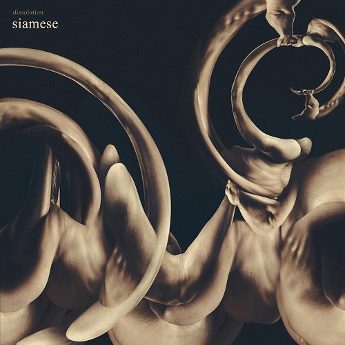 Siamese Dissolution New CD Presale