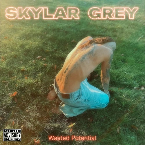 Skylar Grey Wasted Potential New CD Presale