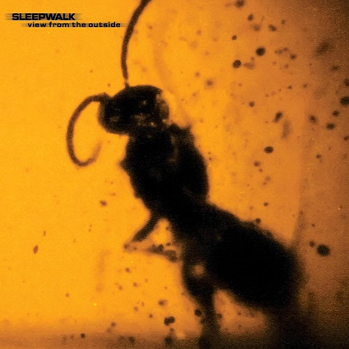 Sleepwalk View from the Outside New CD Presale