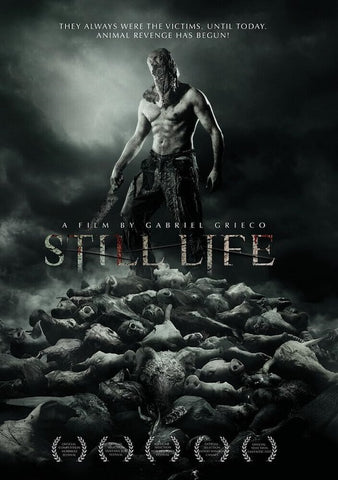 Still Life (Mercedes Oviedo Luz Cipriota Veronica Pelaccini) New DVD