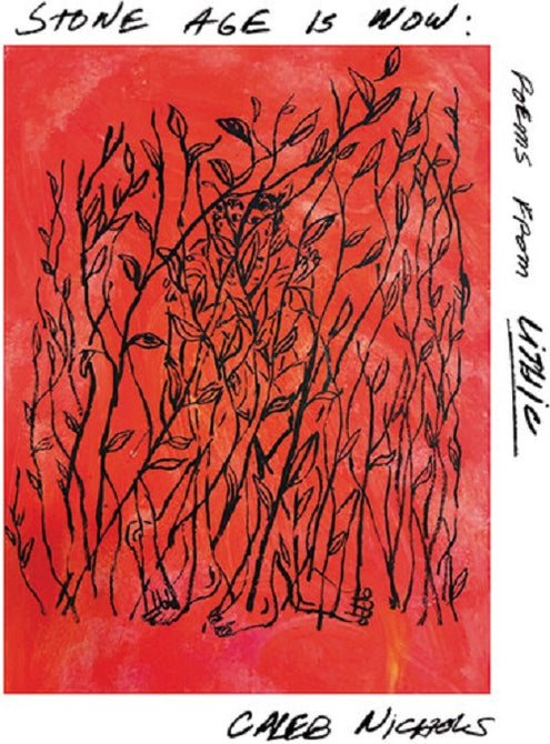 Stone Age Is Now Poems from Lithic New CD Presale