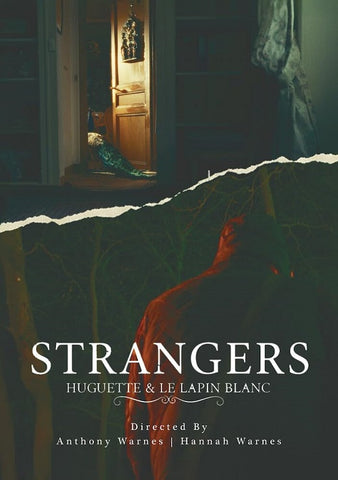 Strangers (Fabienne Cormerais) New DVD Presale