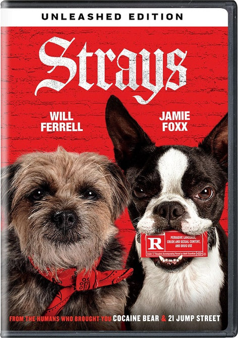 Strays (Will Ferrell Jamie Foxx Will) New DVD