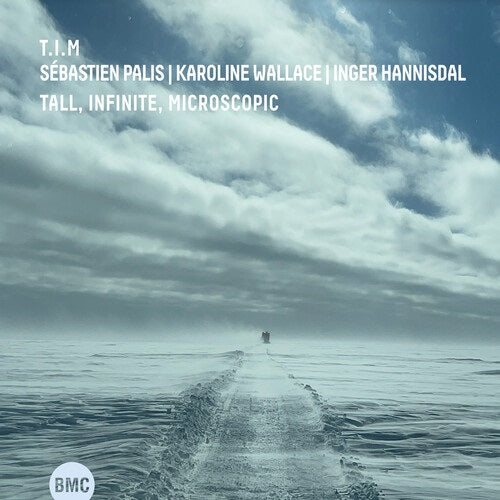 T.I.M. Tall infinite Microscopic TIM New CD Presale