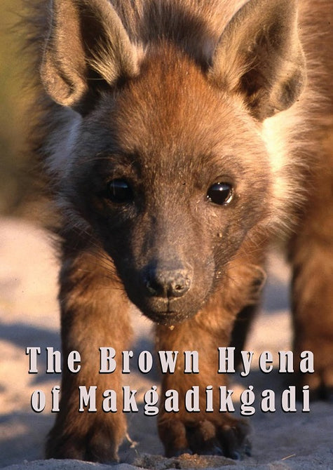 The Brown Hyena Of Makgadikgadi (Peter Terry) New DVD