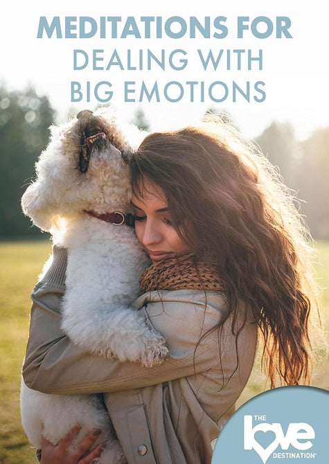 The Love Destination Courses Meditations For Dealing With Big Emotions New DVD