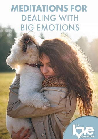 The Love Destination Courses Meditations For Dealing With Big Emotions New DVD