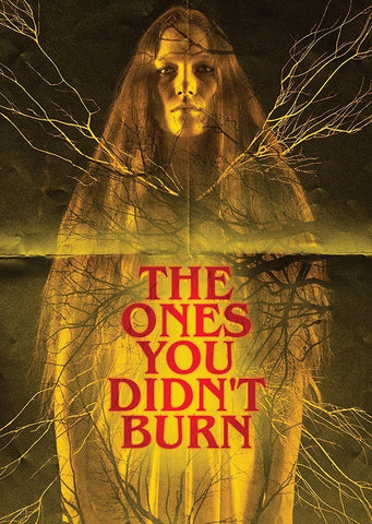 The Ones You Didnt Burn (Estelle Girard Parks Elise Finnerty) New DVD