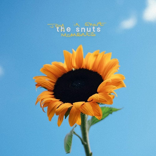The Snuts Joy in Short Moments New CD Presale