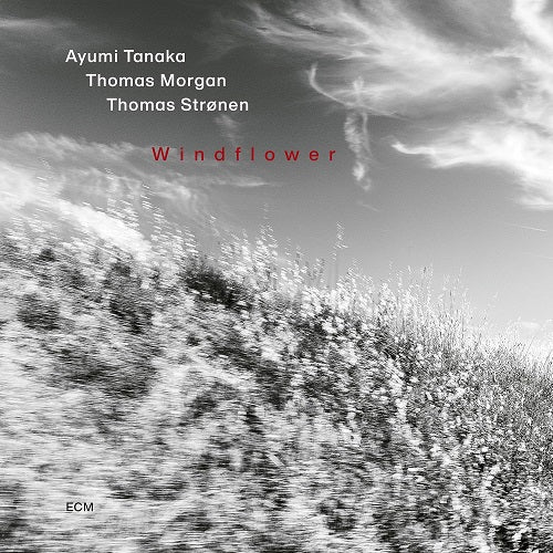 THOMAS MORGAN THOMAS STRONEN Ayumi Tanaka Windflower New CD Presale