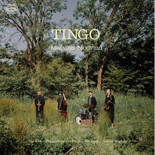 Tingo Medvind Modvind New CD Presale
