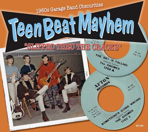 Various Artists Teenbeat Mayhem Slipped Through the Cracks New CD Presale