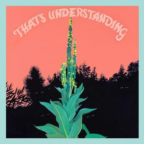 VILLAGE OF SPACES Thats Understanding New CD