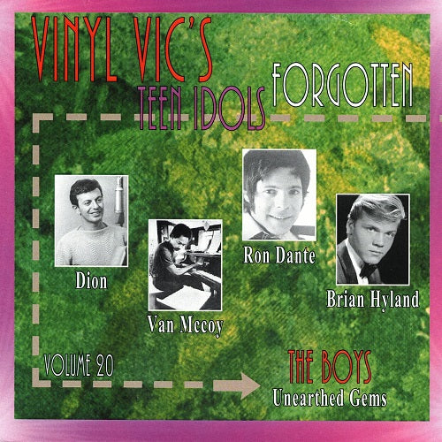 Vinyl Vics Forgotten Teen Idols Volume 20 The Boys Unearthed Gems CD Presale