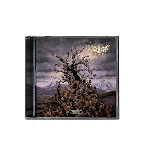 Vulvodynia Entabeni New CD