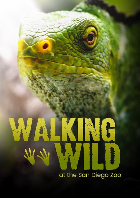 Walking Wild (Bert Ellis) New DVD Presale
