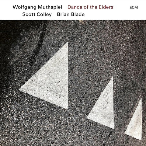 Wolfgang Muthspiel Scott Colley & Brian Blade Dance of the Elders And New CD
