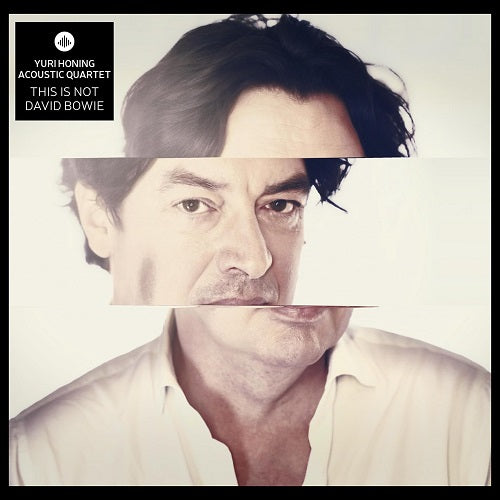 Yuri Honing Acoustic Quartet This Is Not David Bowie New CD Presale