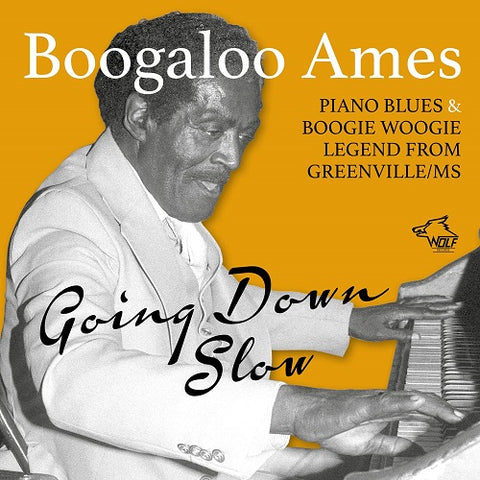 Ames Boogaloo Going Down Slow New CD