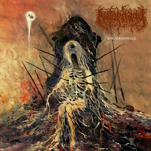 Autophagy Bacteriophage New CD