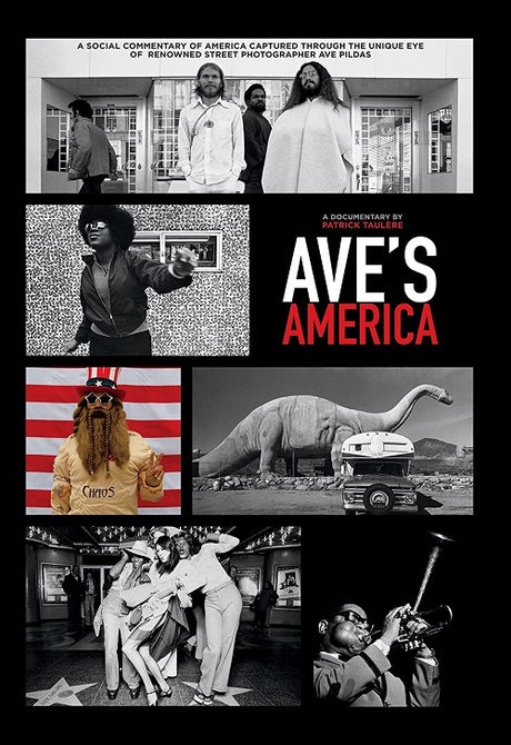 Ave's America (Kirk Silsbee Elisa Leonelli Ian Brooks) Aves New DVD