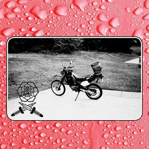 Bass Drum of Death Say I Won't Wont New CD