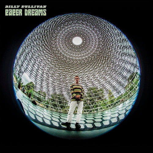 Billy Sullivan Paper Dreams New CD