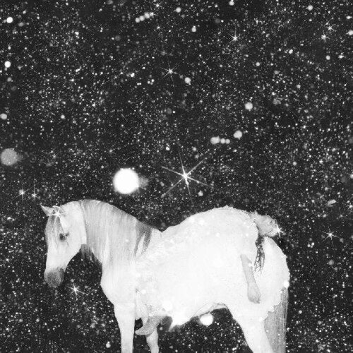 Black Lips Apocalypse Love New CD