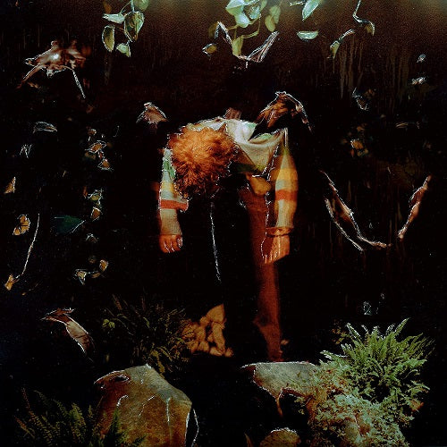 Cavetown Worm Food New CD