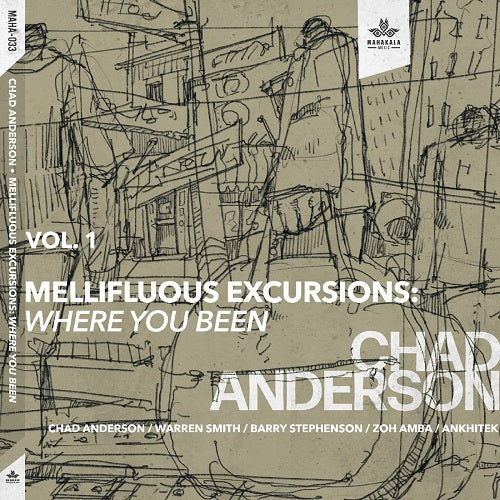 Chad Anderson Mellifluous Excursions New CD