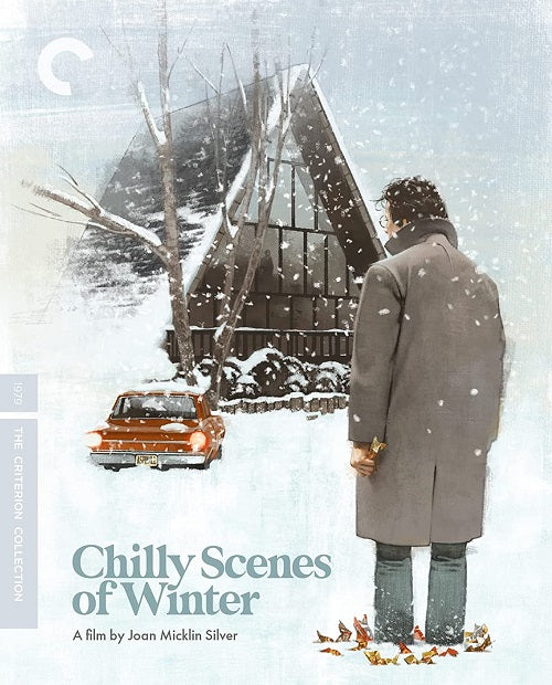 Chilly Scenes of Winter Criterion Collection (John Heard Mary Beth Hurt) Blu-ray