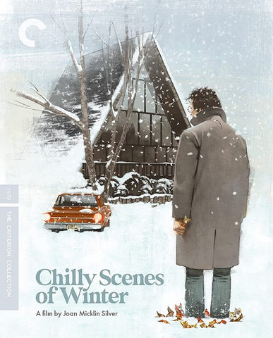 Chilly Scenes of Winter Criterion Collection (John Heard Mary Beth Hurt) Blu-ray