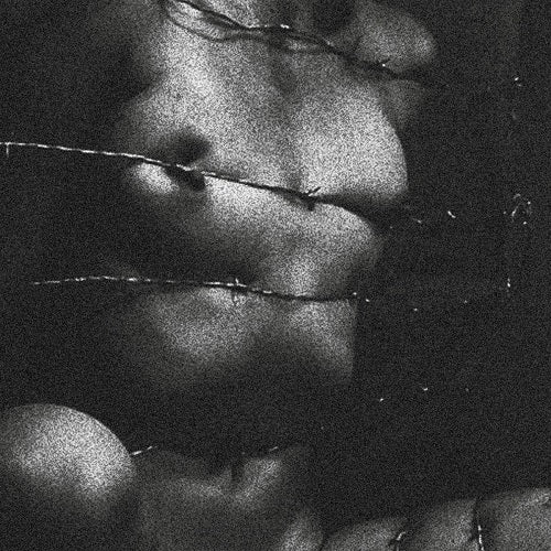 Clavicvla Degeneracy of the 5th Density Fifth New CD