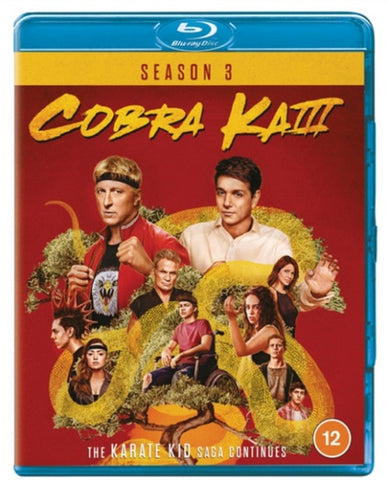 Cobra Kai Season 3 Series Three Third (Ralph Macchio) New Region B Blu-ray